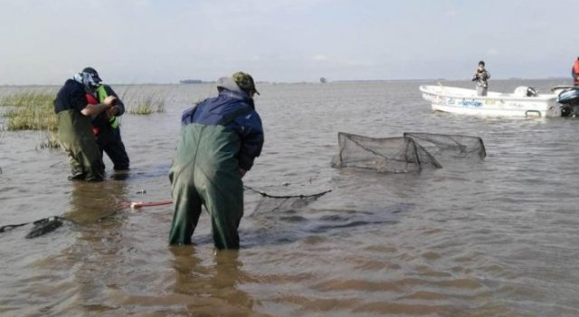 Especialistas de tres universidades estudian los peces de la laguna de Melincué para planificar la temporada de pesca