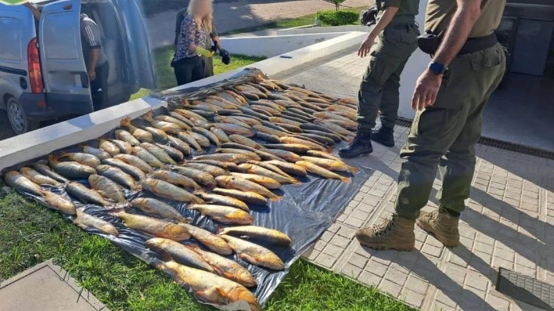 En qu&eacute; consiste el acuerdo de pesca comercial entre Santa Fe y Entre R&iacute;os