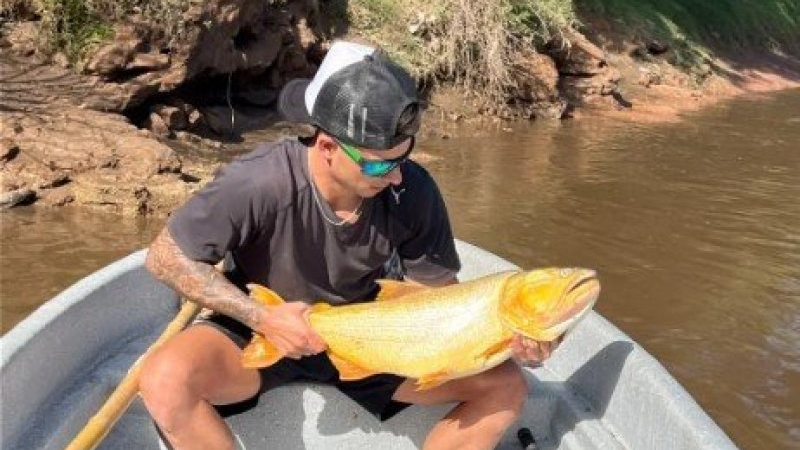Peces muertos río Carcarañá