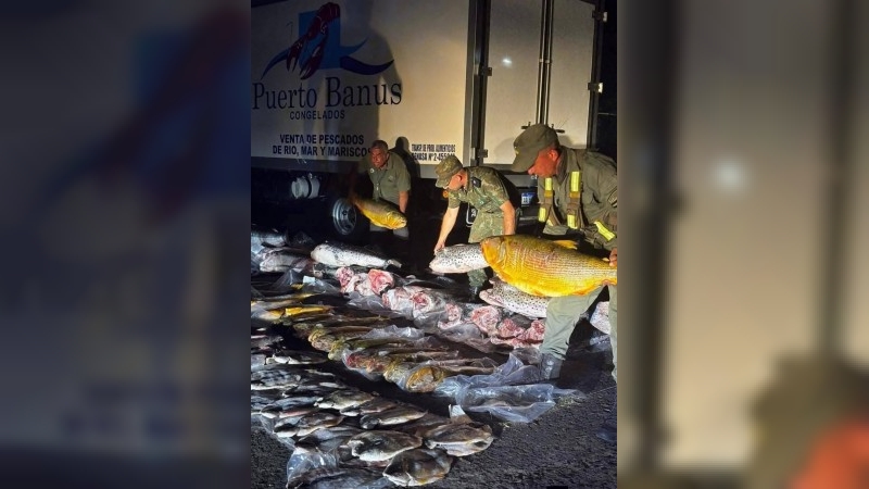 Tensi&oacute;n y pol&eacute;mica en Corrientes por el decomiso de 700 kilos de pescado