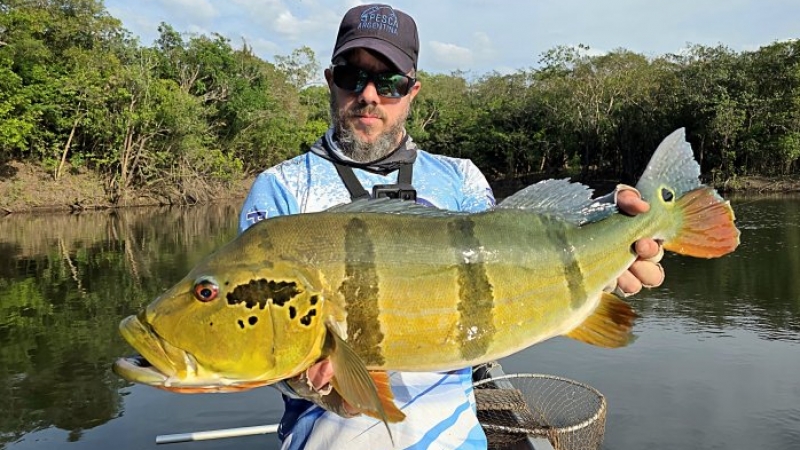 Pesca de Tucunar&eacute;s en Colombia: uno de los mejores destinos de pav&oacute;n de la cuenca del Orinoco