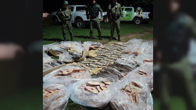 Secuestro de m&aacute;s de 300 kg de pescado ilegal en Ituzaing&oacute;