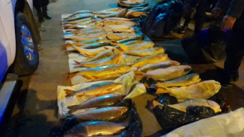 Otro golpe a la pesca ilegal en Corrientes