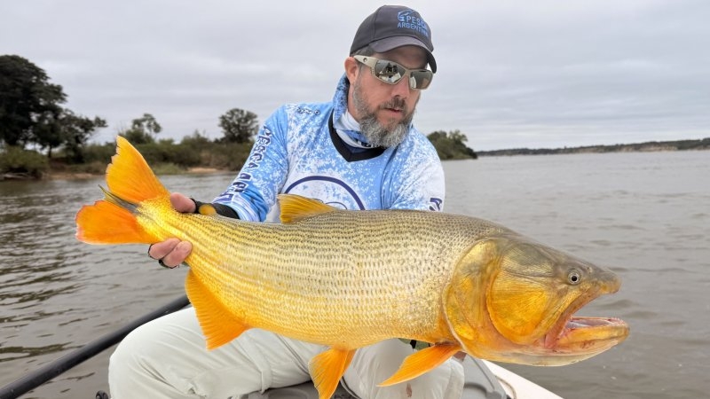 Pesca de dorados en el Alto Paran&aacute;: c&oacute;mo est&aacute; el r&iacute;o en Empedrado e It&aacute; Ibat&eacute;