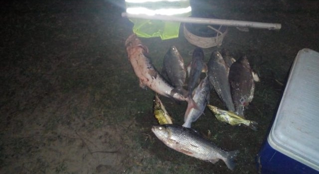 Por surubíes, palometas, dorado, amarillos, patíes y sábalos