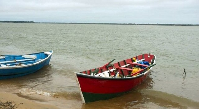 La variación del caudal del río Paraná no afectó la reproducción de peces
