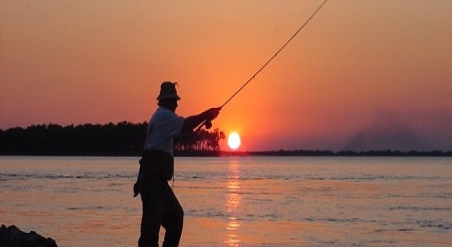 Pesca: El Pique de la Semana