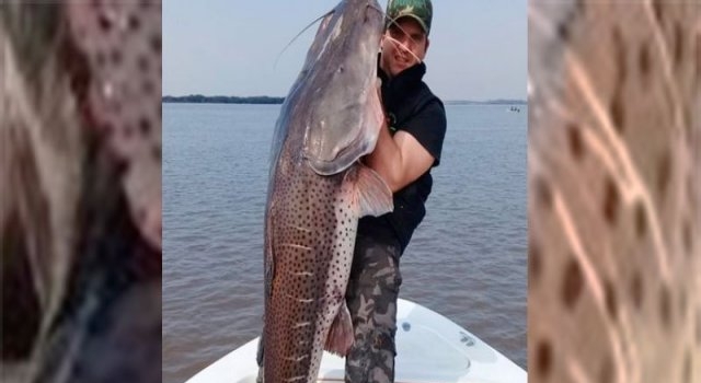 Entrerrianos pescaron un surubí gigante en las aguas del Uruguay