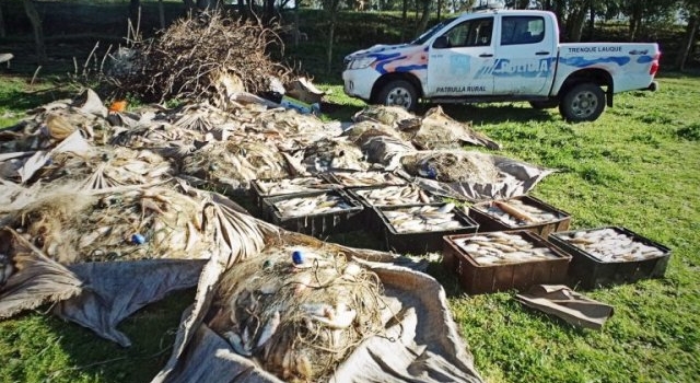 Pesca clandestina: incautaron mil metros de redes en El Hinojo Chico