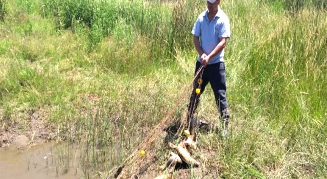 Detectan pescadores ilegales en Junín