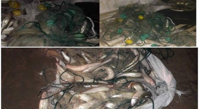 Otro pescador furtivo atrapado in fraganti