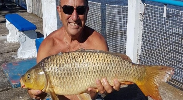 Doradillos, Carpas, Bogas, Bagres y Lisas en Punta Lara