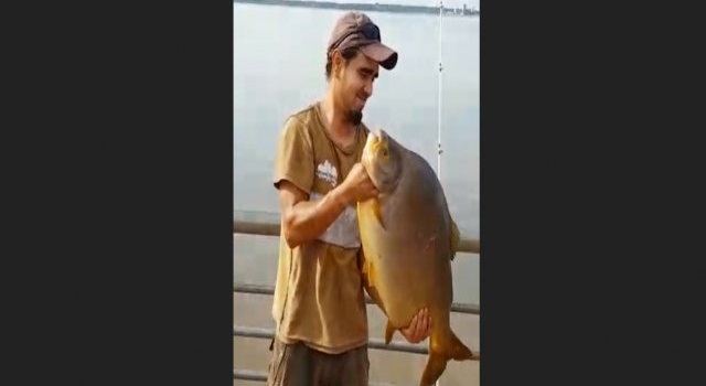 En el día del pescador difunden el video de un tremendo ejemplar pescado en la Costanera de Posadas