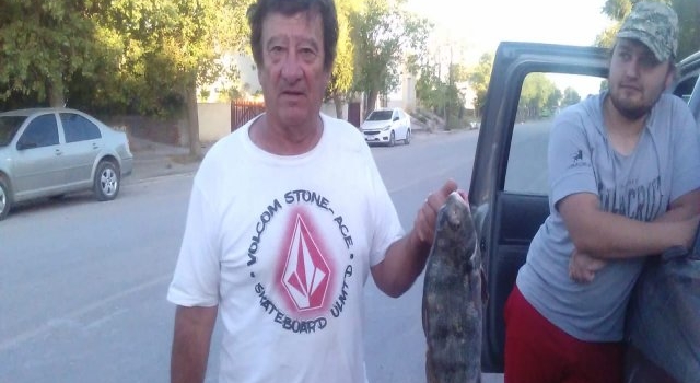 En la previa de Las 24, salió una corvina negra