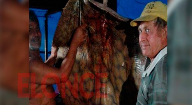 Pescaron una raya de 90 kilos muy cerca de Paraná
