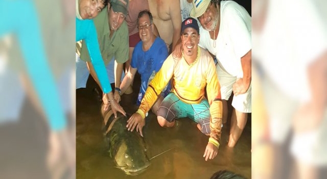 “Pique” de lujo: dieron con un manguruyú de más de 60 kilos