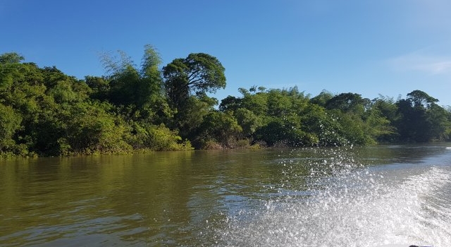 En Eldorado vuelven a pescar