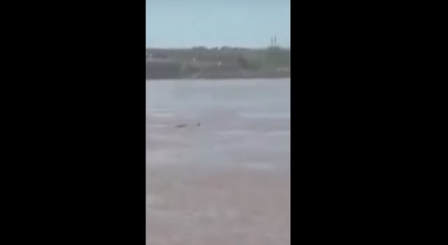 Una gran serpiente atemorizó a pescadores en Concordia