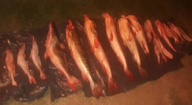 SECUESTRAN ARMAS Y ANIMALES A CAZADORES FURTIVOS