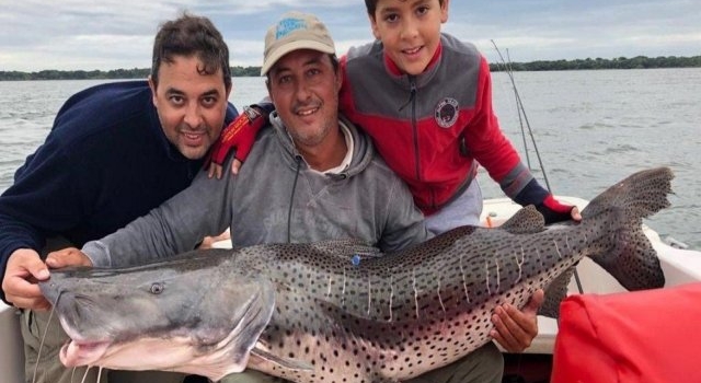 Tras las rutas migratorias de nuestros peces