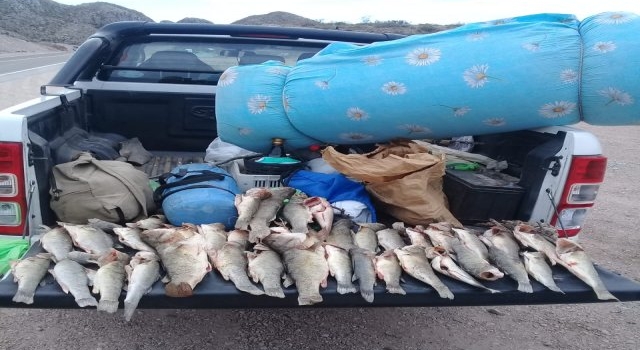 Secuestraron 40 piezas de percas a pescadores sin carnet