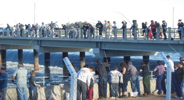 Piden trabajar para que el pejerrey no se vaya a la Mar Chiquita