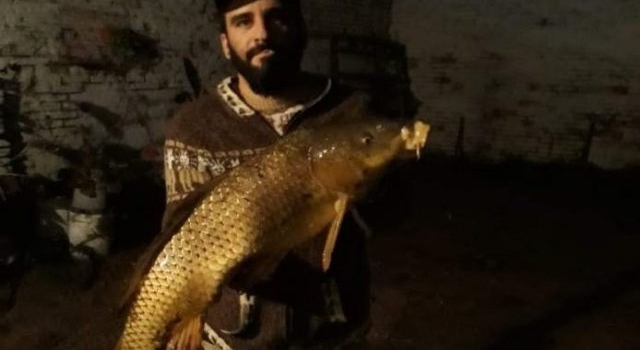 Un pez gigante