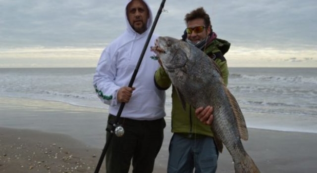 50 km de costa y una corvina negra de 9 kilos