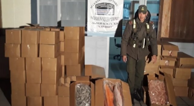 Incautaron más de mil kilos de pescado