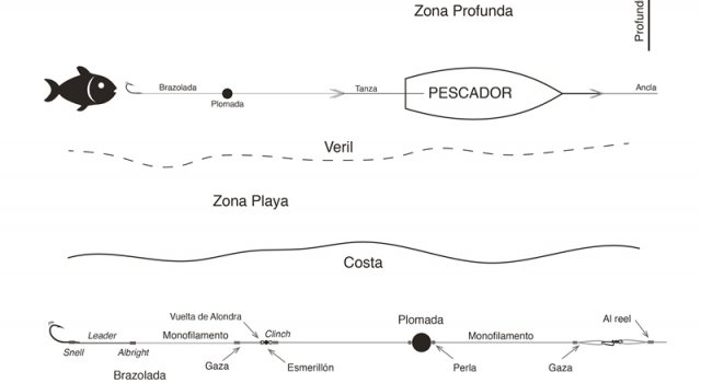 Informe sobre Aparejos - Lineas de Pesca