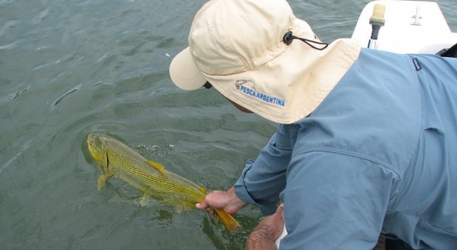 3 de Agosto "Dia del Pescador Deportivo"