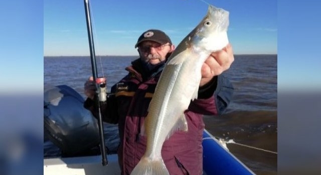 La pesca de grandes matungos es moneda corriente en la zona de “Playa Honda” del Río de la Plata
