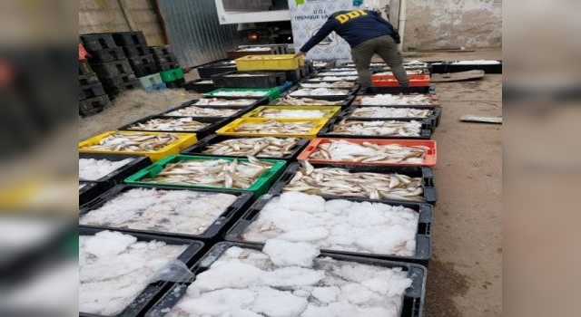 Pesca Ilegal: Un negocio millonario en las lagunas bonaerenses