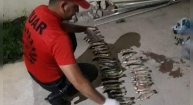 Secuestran 50 truchas a un hombre en Cura Brochero