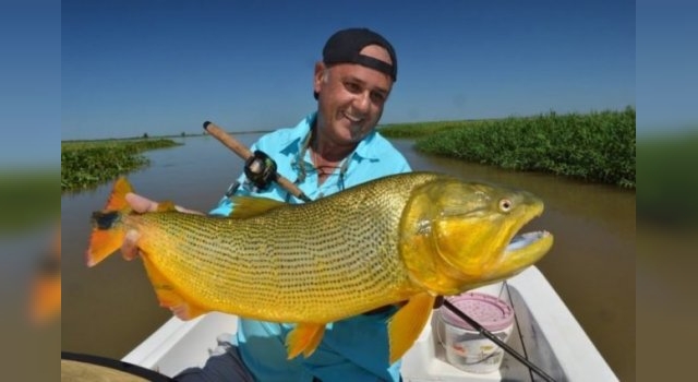 Prohíben en Corrientes la pesca sin devolución de dorado y surubí hasta el 7 de abril