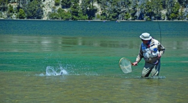 Coronavirus: Prohiben la venta de permisos de pesca y caza
