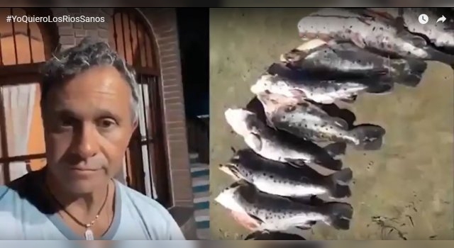 Famosos participan de campaña #YoQuieroLosRiosSanos