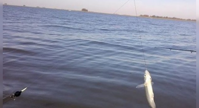 El viernes 22 de mayo habilitan la pesca en lagunas del partido de Tres Arroyos