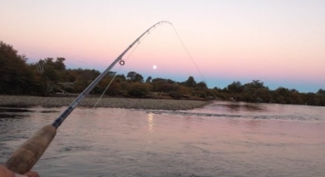 Cuáles son los lugares habilitados para la pesca deportiva